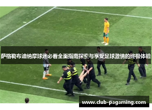萨格勒布迪纳摩球迷必看全面指南探索与享受足球激情的终极体验 萨格勒布迪纳摩球迷必看全面指南探索与享受足球激情的终极体验