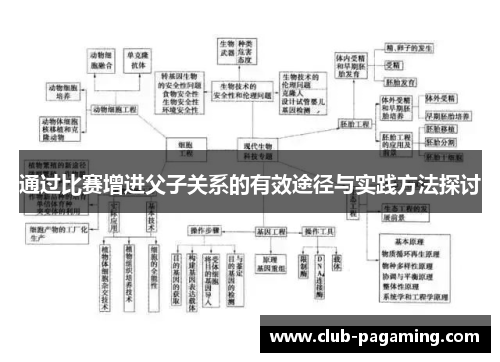 通过比赛增进父子关系的有效途径与实践方法探讨