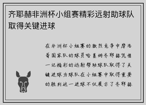 齐耶赫非洲杯小组赛精彩远射助球队取得关键进球